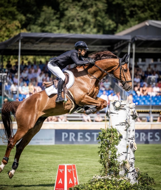 Ezilis du Mesnil, Pré-sélectionné aux JO de Paris, 
Intègre le plus haut niveau mondial lors du CSIO5*  de Barcelone où il se classe 8e du Grand Prix 1m60  de la ville